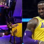 Shannon Sharpe brings in live goat with LeBron James' Lakers jersey on 'Undisputed'