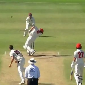 Sheffield Shield 2020-21: Liam Scott shoulders arms to Mark Steketee delivery after coping nasty bouncer