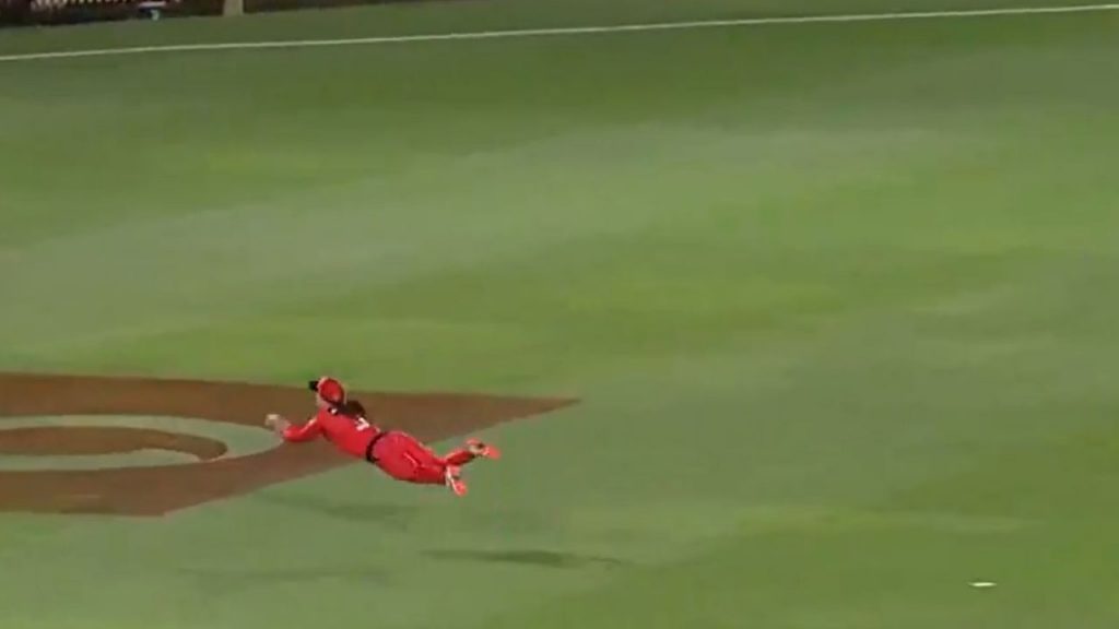 Courtney Webb cricket: Watch Webb's extra ordinary flying catch dismisses Ellyse Perry in WBBL 2020-21