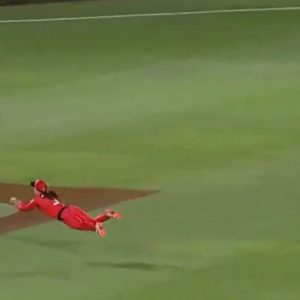 Courtney Webb cricket: Watch Webb's extra ordinary flying catch dismisses Ellyse Perry in WBBL 2020-21