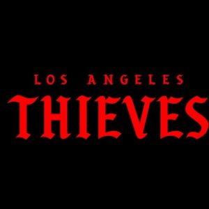 "We want to add to the Prestige and Success of LA": New COD league team LA Thieves revealed