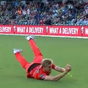 Will Sutherland catch today: Renegades pacer grabs sensational catch to dismiss Callum Ferguson in BBL 10
