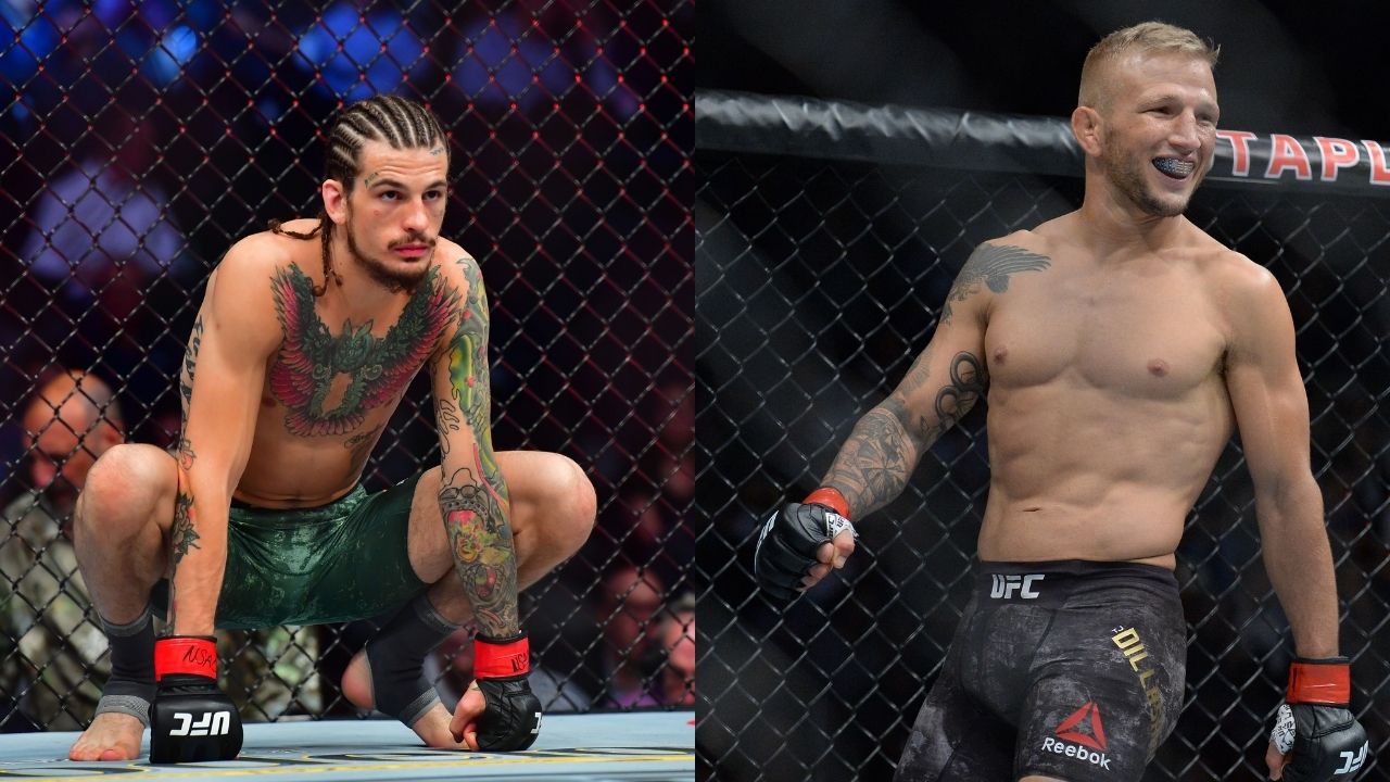 Sean O'Malley Mocks TJ Dillashaw By Highlighting a Physical Attribute Of His