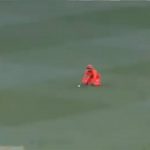 Fawad Ahmed drop catch: Watch Scorchers spinner puts down dolly to hand Alex Carey a reprieve in BBL 10