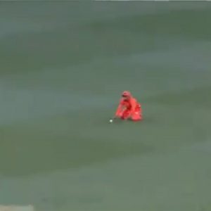 Fawad Ahmed drop catch: Watch Scorchers spinner puts down dolly to hand Alex Carey a reprieve in BBL 10