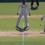 Wriddhiman Saha: Watch Indian keeper emulates MS Dhoni to run-out Matthew Wade in Adelaide Test