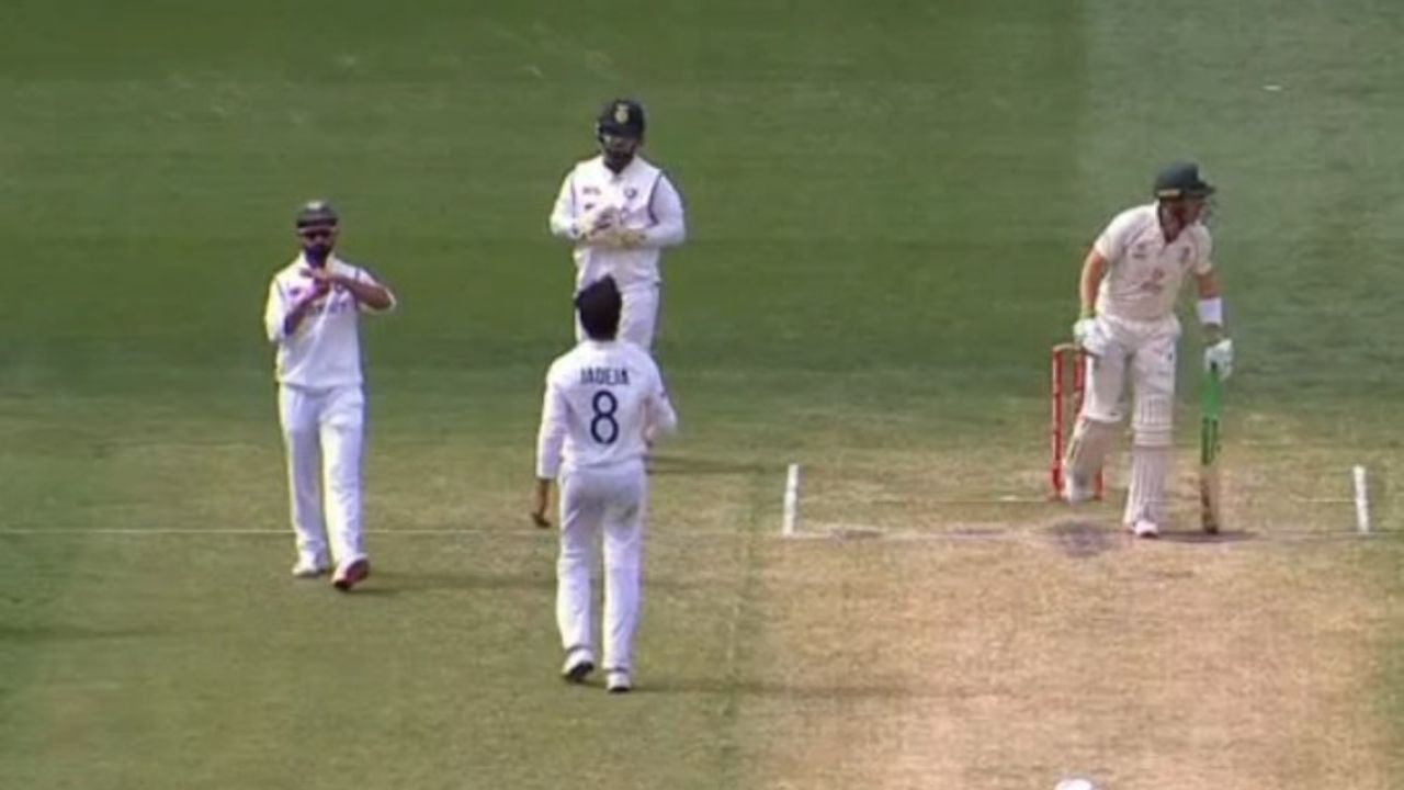 Was Tim Paine out: Twitterati divided over Australian captain's dismissal off Ravindra Jadeja in Melbourne Test