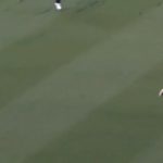 Jake Weatherald catch today: Watch Strikers batsman grabs fantastic diving catch to dismiss Alex Ross in BBL 10