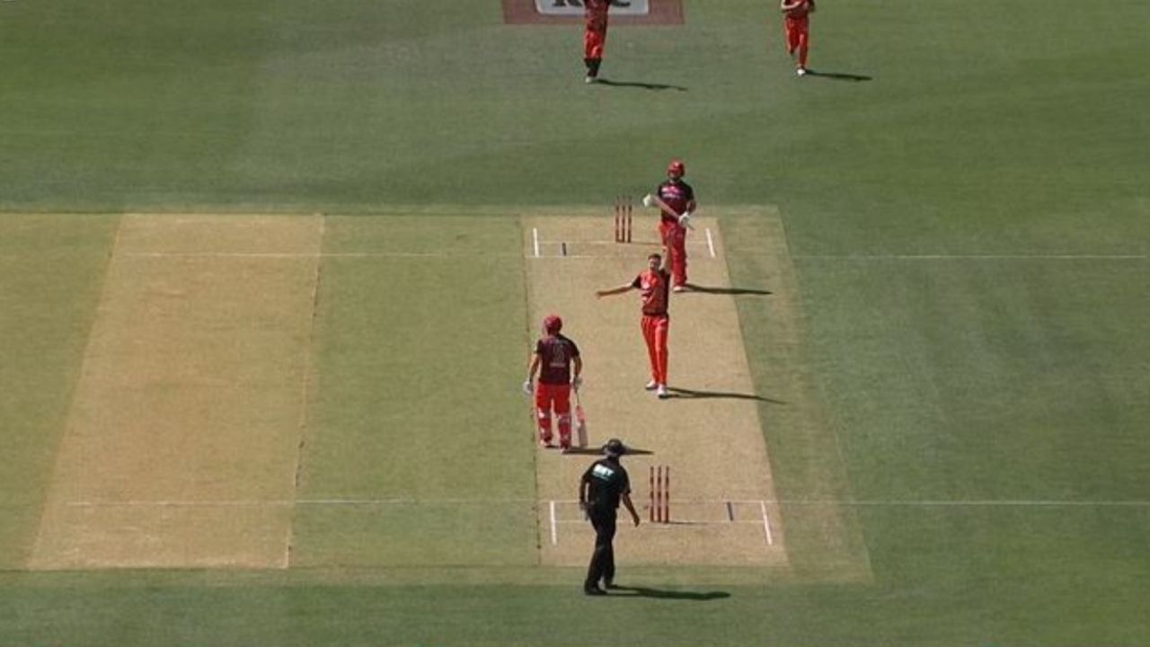 Aaron Finch run-out today: Watch Renegades captain's unfortunate dismissal off Jason Behrendorff in BBL 2020-21