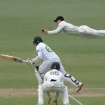Will Young catch vs Pakistan: Watch Kiwi substitute player grabs terrific catch to dismiss Abid Ali in Christchurch Test