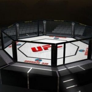 UFC Streams Reddit: Where to watch UFC matches tonight & Why is UFC Reddit streams banned?