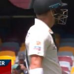 David Warner DRS: Australia lose review after Warner's terrible decision to question dismissal off Washington Sundar