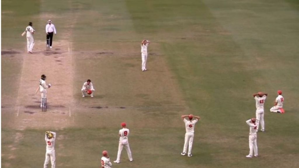 Western Australia vs South Australia: Liam O'Connor barely manages to survive against Chadd Sayers in Sheffield Shield cliffhanger