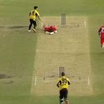 "Oh no": Tom Cooper run-out in unfortunate manner in Western Australia vs South Australia Marsh Cup clash