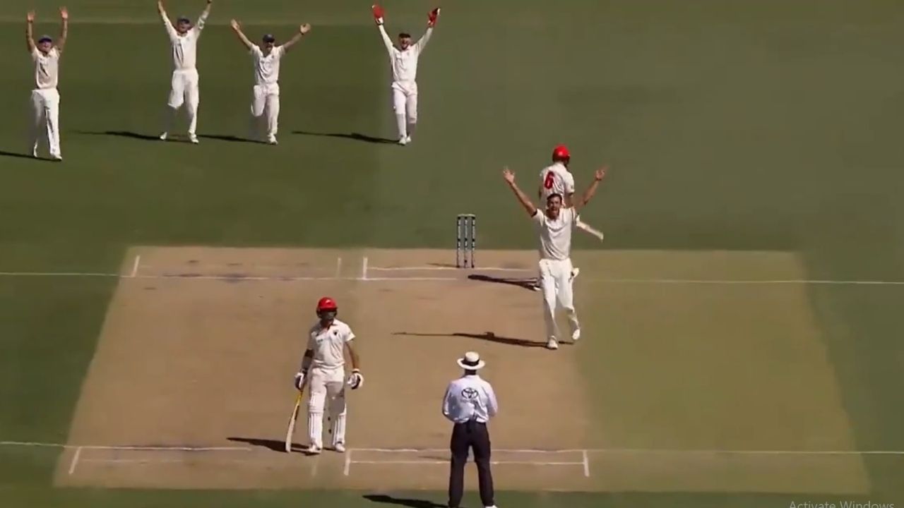Mitchell Starc: NSW spearhead draws first blood in second innings vs South Australia in Sheffield Shield
