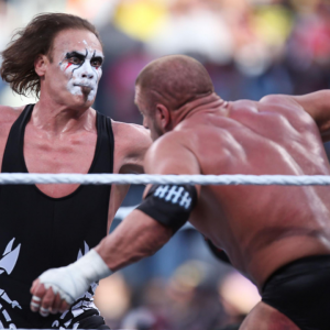WWE Hall of Famer says Sting losing to Triple H was a mistake