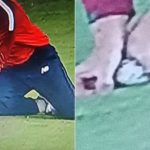 What is Soft Signal in cricket: Suryakumar Yadav catch allures severe criticism for third umpire Virender Sharma in Ahmedabad T20I