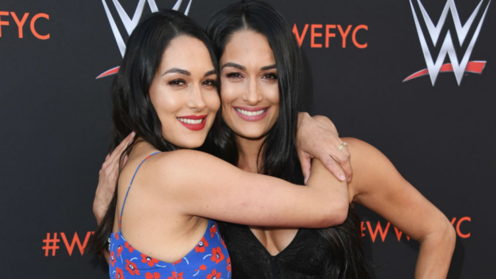 Bella Twins leave WWE