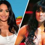 Nikki Bella apologises for her degrading comments on Chyna