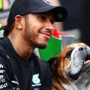 "I loves beings a vegans" - Lewis Hamilton's dog Roscoe eating vegan food raises social media storm