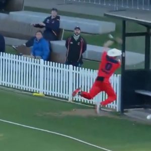 Marsh One Day Cup: 3 South Australia fielders attempt to grab bizarre catch vs Queensland in Australia One Day Cup