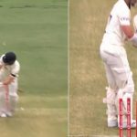 Mitchell Starc wicket: M Starc dismisses Rory Burns to pick first-ball wicket in Ashes 2021-22