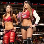 Bella Twins RAW XXX