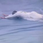 Shakib Al Hasan dive video: Bangladeshi all-rounder dives on wet covers on a rainy day in viral video