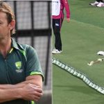 "Very clever move by Sydney Sixers": Adam Gilchrist defends Sydney Sixers retiring injured Jordan Silk before last ball of BBL 11 Challenger vs Adelaide Strikers