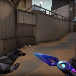 Valorant leaks knife skin