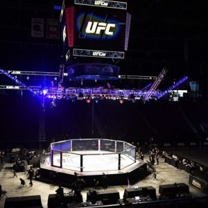 UFC Rules