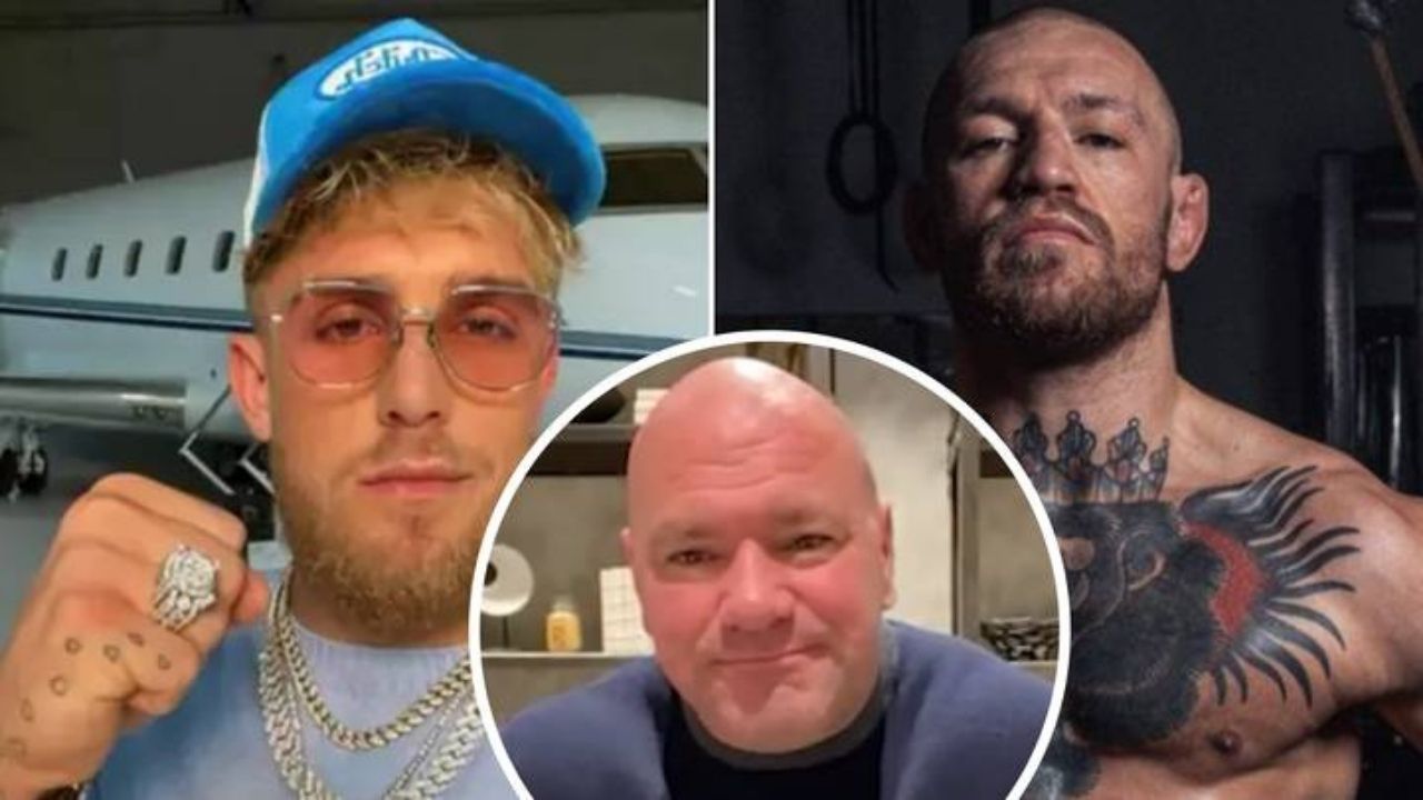 Dana White Jake Paul