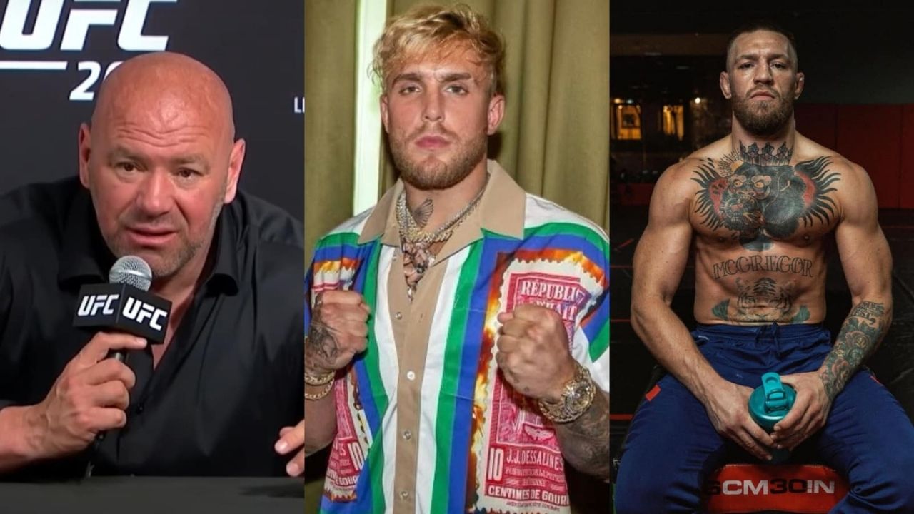 Jake Paul Conor McGregor