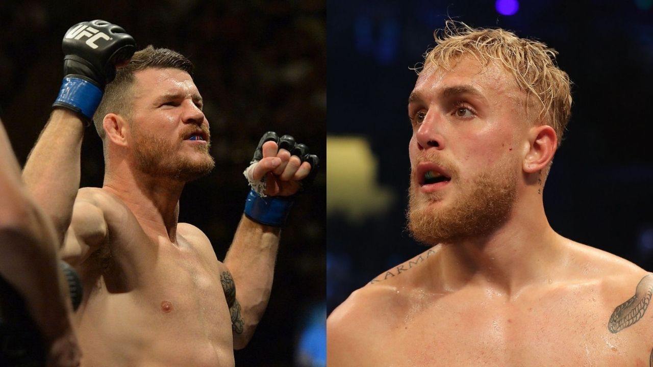 Michael Bisping Jake Paul