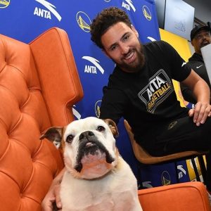 "Rocco would be turning 10 on 4/20, and I'm so grateful to have a healthy bulldog!": Warriors' Klay Thompson appreciates a question about his dog, gives updates about the fan favorite canine