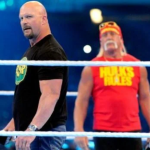 Stone Cold Hulk Hogan