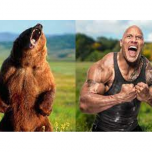 Vince McMahon The Rock Bear