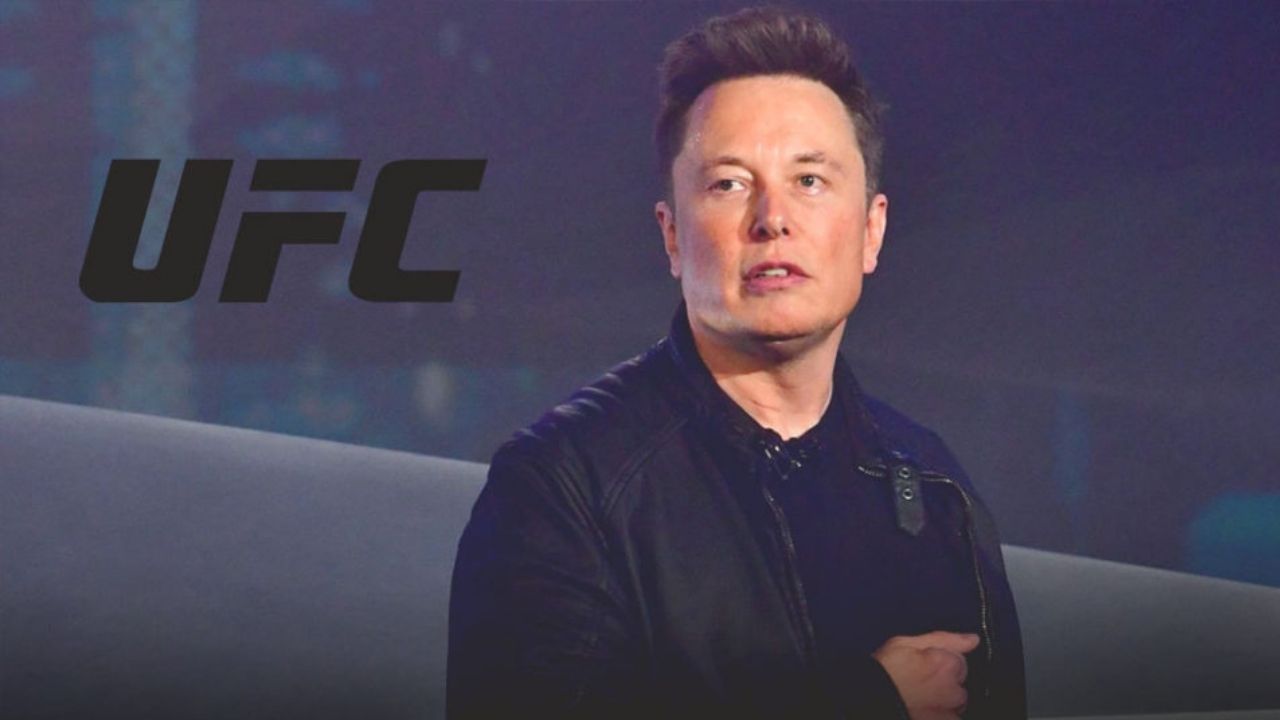 Elon Musk MMA