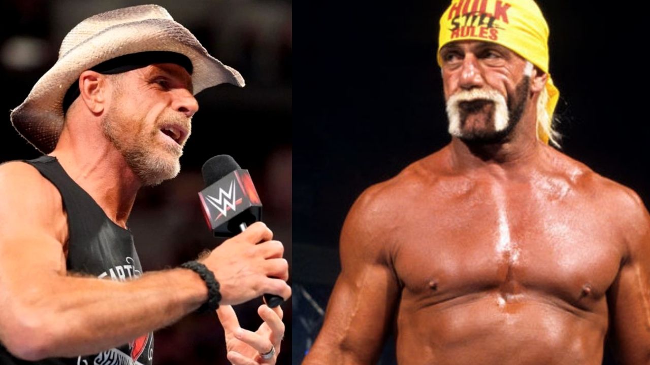 Shawn Michaels vs Hulk Hogan