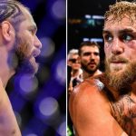 Jake Paul Jorge Masvidal Michael Bisping