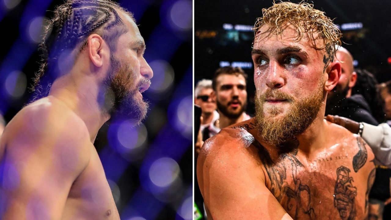 Jake Paul Jorge Masvidal Michael Bisping