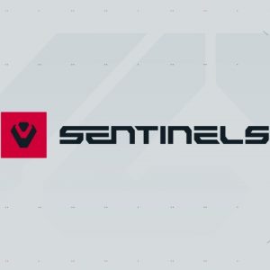 Is the Sentinels Valorant roster Officially back in Business?