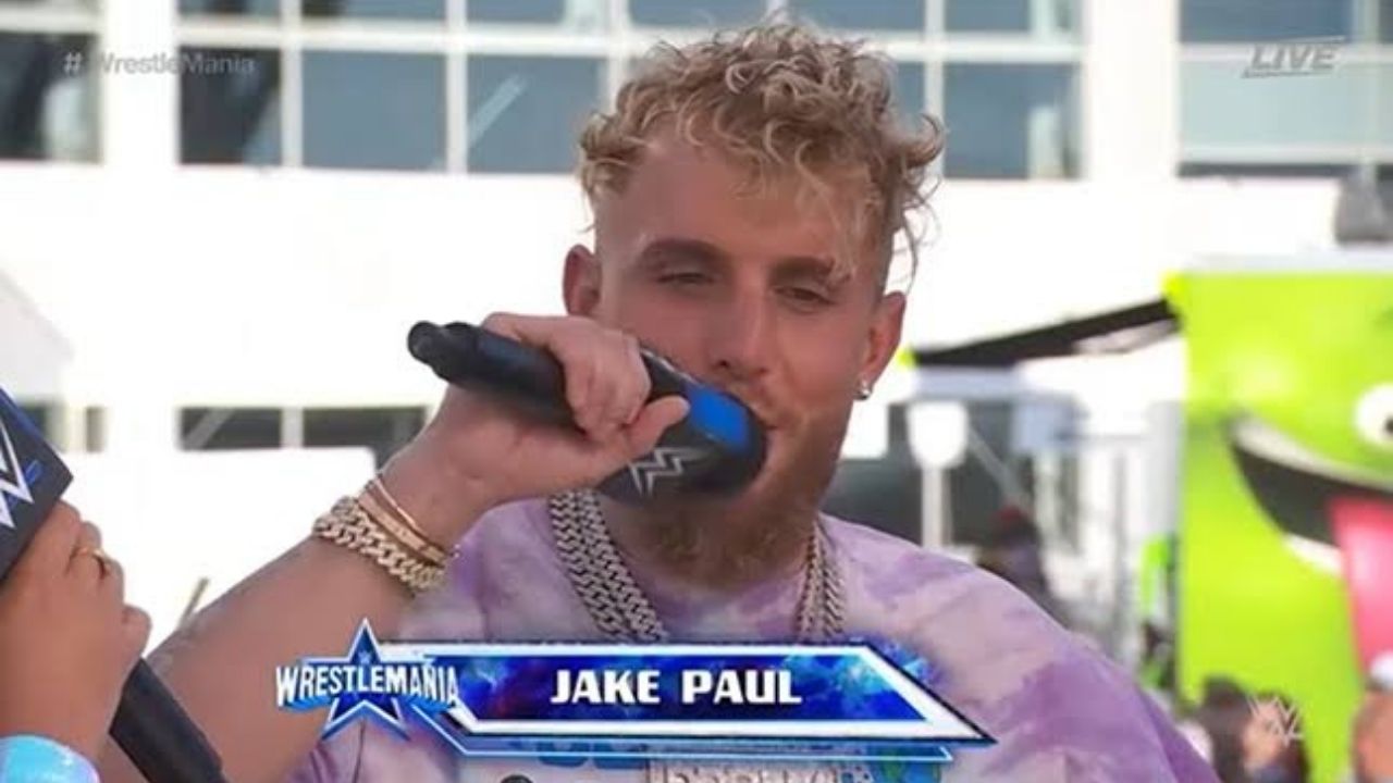 Jake Paul WWE Boxing