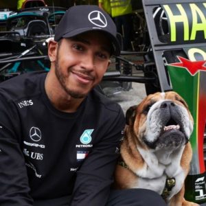 "Roscoe gets paid $700 dollars a day! It’s ridiculous, he loves it": Lewis Hamilton reveals how his bulldog Roscoe earns more than average human