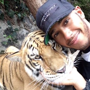 "He could have done the same thing to Gasly at Imola!"- Watch Lewis Hamilton hilariously prank a tiger in Mexico
