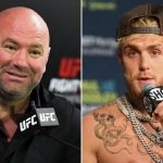 Dana White Jake Paul