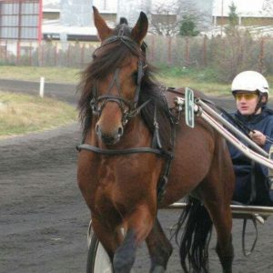 "My dream is to move back to Serbia and train horses after my basketball career": Nikola Jokic reveals post-retirement plans ahead of Elitloppet