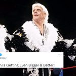 Ric Flair last match