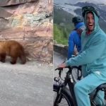 Daniel Ricciardo encounters Grizzly Bear while riding his bike on mountain