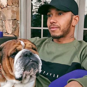 Lewis Hamilton shows off his iconic $5 million 1966 Shelby Cobra 427 accompanied by his favorite passenger